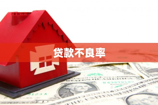 泌阳贷款不良率