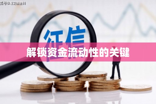 泌阳解锁资金流动性的关键