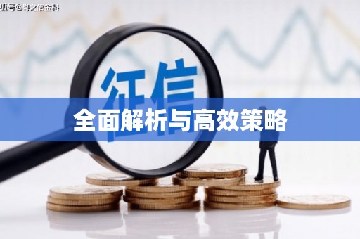 泌阳全面解析与高效策略