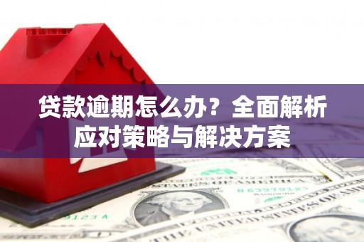 泌阳贷款逾期怎么办？全面解析应对策略与解决方案
