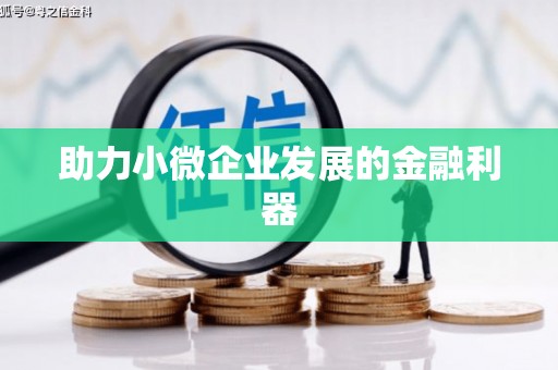 泌阳助力小微企业发展的金融利器