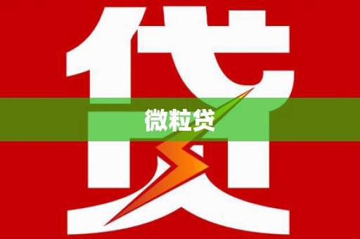 泌阳微粒贷