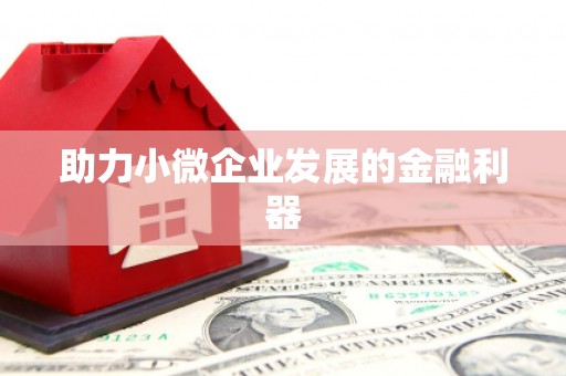泌阳助力小微企业发展的金融利器