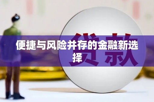 泌阳便捷与风险并存的金融新选择