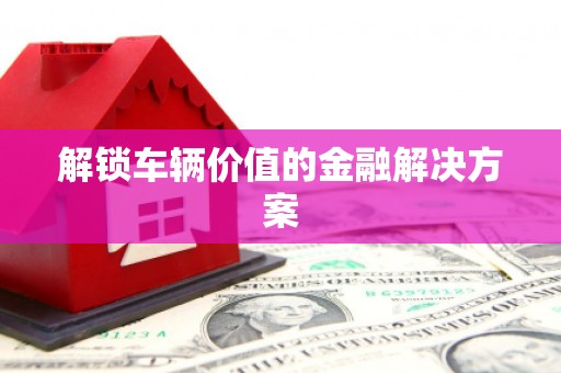 泌阳解锁车辆价值的金融解决方案