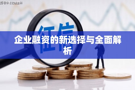 泌阳企业融资的新选择与全面解析