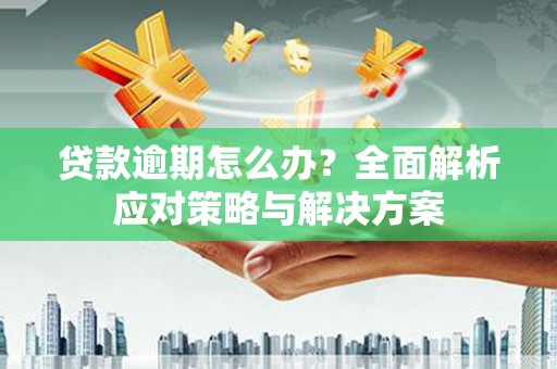 泌阳贷款逾期怎么办？全面解析应对策略与解决方案