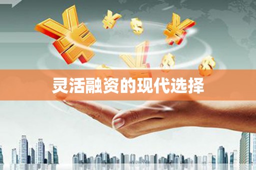 泌阳灵活融资的现代选择