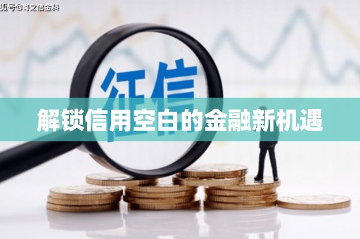 泌阳解锁信用空白的金融新机遇