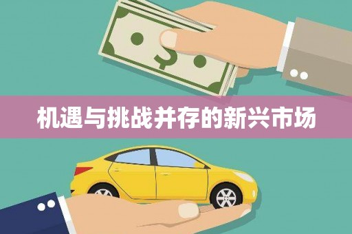 泌阳机遇与挑战并存的新兴市场