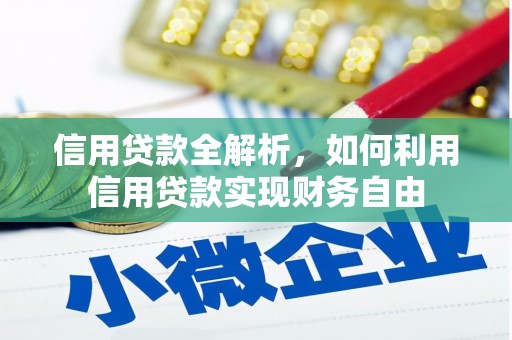 泌阳信用贷款全解析，如何利用信用贷款实现财务自由