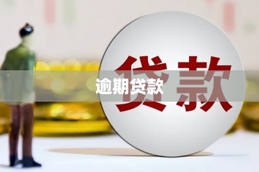 泌阳逾期贷款