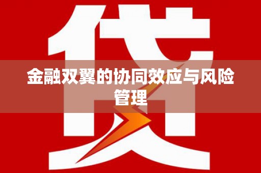 泌阳金融双翼的协同效应与风险管理