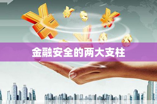 泌阳金融安全的两大支柱