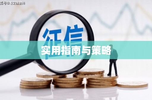 泌阳实用指南与策略